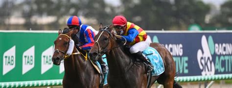 stradbroke handicap 2022|Stradbroke Handicap Field – 2021 .
